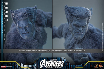 HOT TOYS - Marvel X-Men Movie Masterpiece Action Figure 1/6 Beast (Deluxe Version)