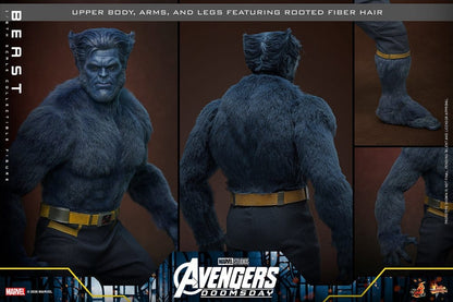 HOT TOYS - Marvel X-Men Movie Masterpiece Action Figure 1/6 Beast (Deluxe Version)