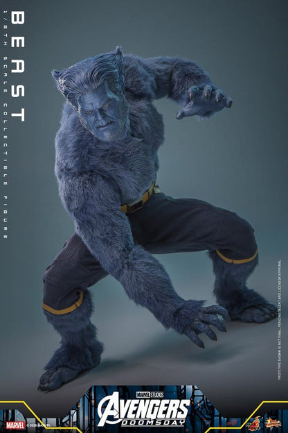 HOT TOYS - Marvel X-Men Movie Masterpiece Action Figure 1/6 Beast (Collector Edition)