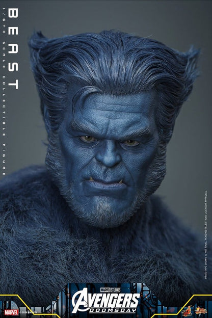 HOT TOYS - Marvel X-Men Movie Masterpiece Action Figure 1/6 Beast (Collector Edition)