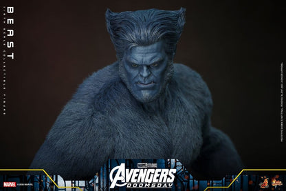 HOT TOYS - Marvel X-Men Movie Masterpiece Action Figure 1/6 Beast (Collector Edition)