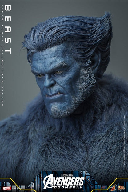 HOT TOYS - Marvel X-Men Movie Masterpiece Action Figure 1/6 Beast (Collector Edition)