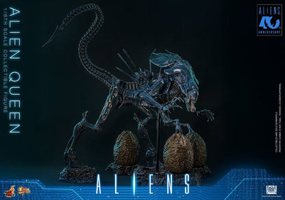 HOT TOYS - Alien Action Figure 1/6 Alien Queen