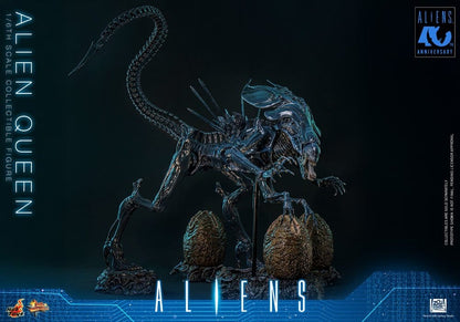 HOT TOYS - Alien Action Figure 1/6 Alien Queen