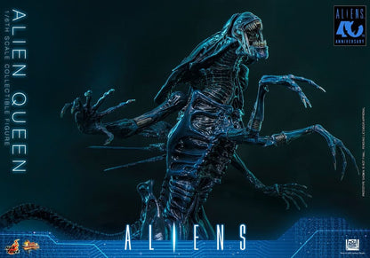 HOT TOYS - Alien Action Figure 1/6 Alien Queen