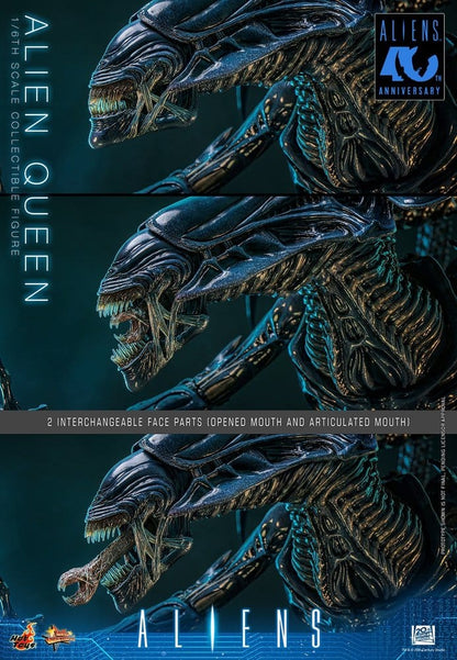 HOT TOYS - Alien Action Figure 1/6 Alien Queen