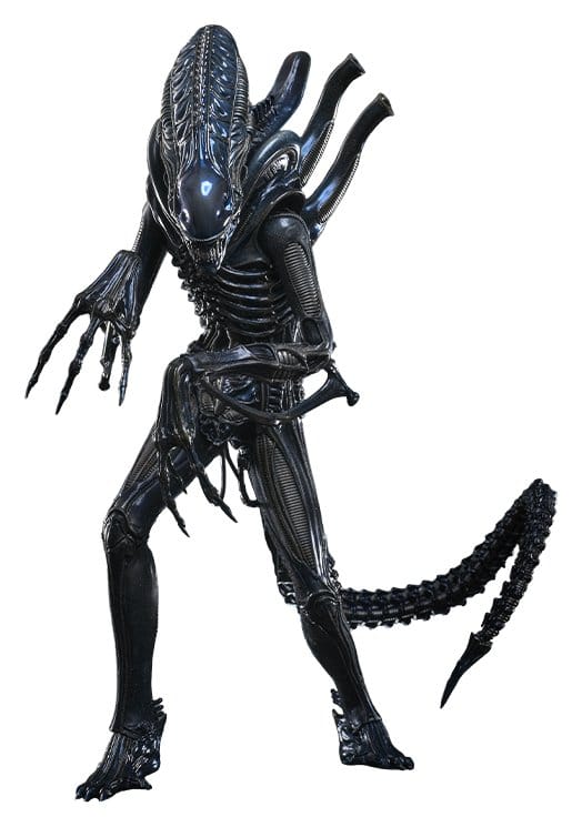 HOT TOYS - Alien Movie Masterpiece Action Figure 1/6 Alien Warrior (Deluxe Version) MMS899