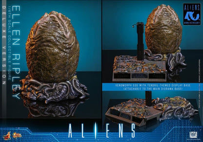 HOT TOYS - Alien Movie Masterpiece Action Figure 1/6 Ellen Ripley (Deluxe Version)  MMS895