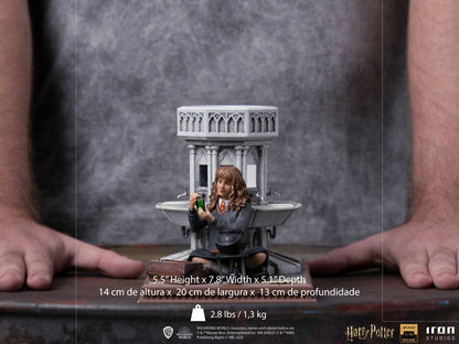 IRON STUDIO - Harry Potter DeLuxe Art Scale Statue 1:10 Hermione Granger Polyjuice