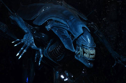 NECA - Aliens - Alien Queen DeLuxe Action Figure