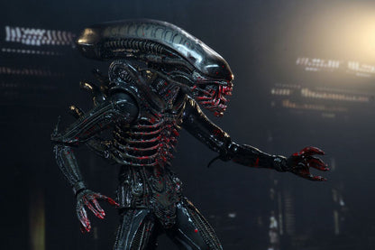 NECA - Alien Action Figure 18 cm 40Th Anniversary Series 2 - The Alien Bloody