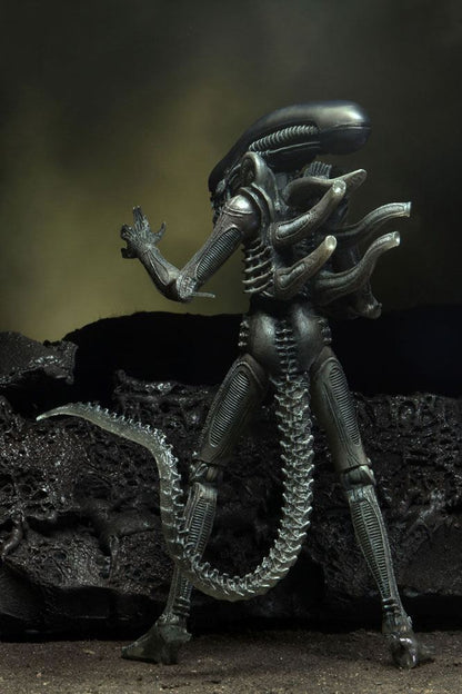 NECA - Alien Action Figure  40th Anniversary Series 4 The Alien