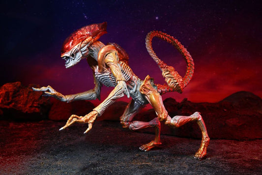 NECA - Aliens Action Figure Panther Alien (Kenner Tribute)
