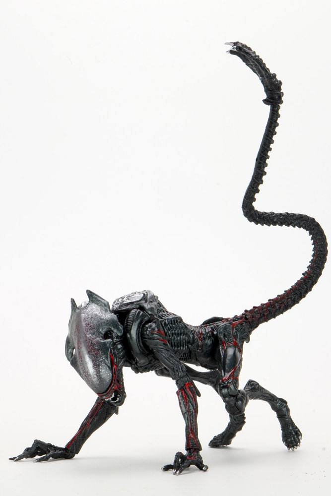 NECA - Aliens Action Figure Night Cougar Alien (Kenner Tribute)