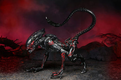 NECA - Aliens Action Figure Night Cougar Alien (Kenner Tribute)