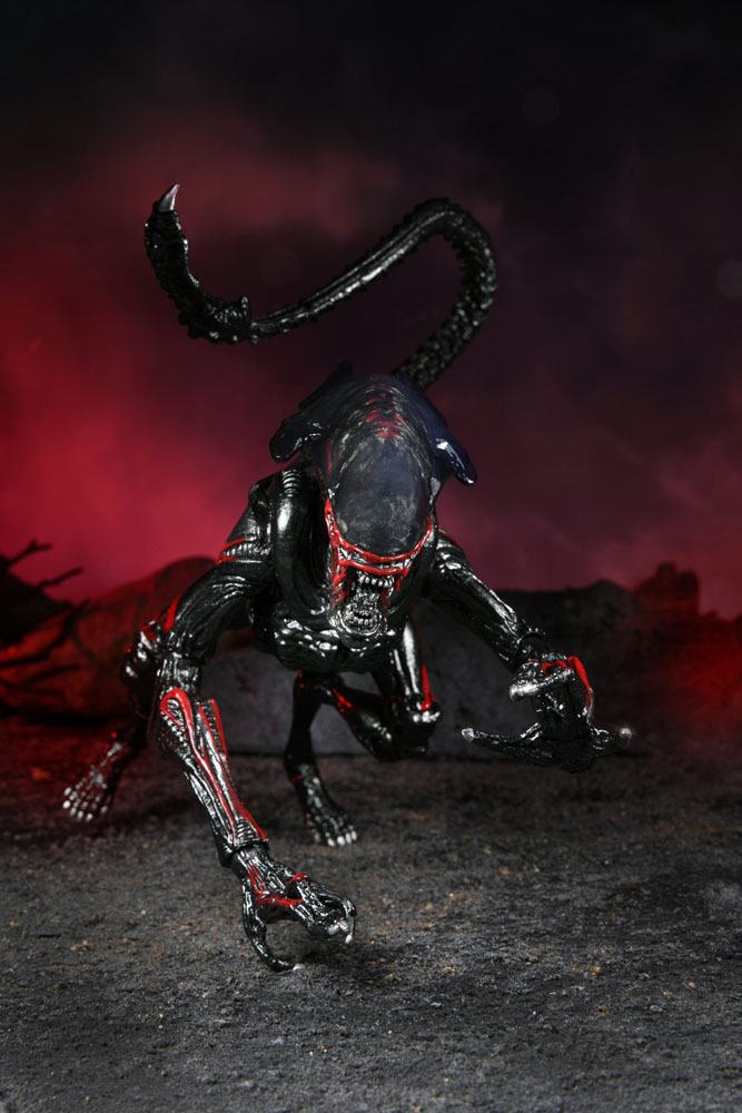 NECA - Aliens Action Figure Night Cougar Alien (Kenner Tribute)