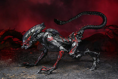 NECA - Aliens Action Figure Night Cougar Alien (Kenner Tribute)