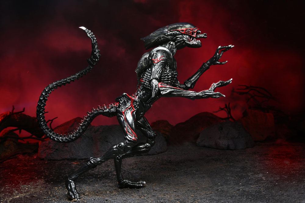 NECA - Aliens Action Figure Night Cougar Alien (Kenner Tribute)