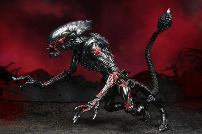 NECA - Aliens Action Figure Night Cougar Alien (Kenner Tribute)