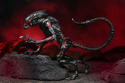 NECA - Aliens Action Figure Night Cougar Alien (Kenner Tribute)