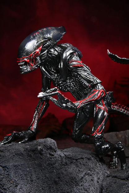 NECA - Aliens Action Figure Night Cougar Alien (Kenner Tribute)