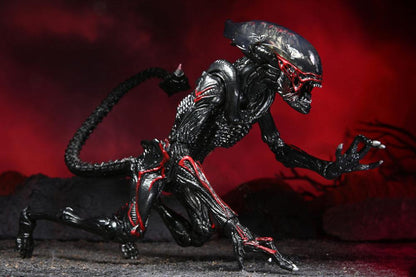 NECA - Aliens Action Figure Night Cougar Alien (Kenner Tribute)