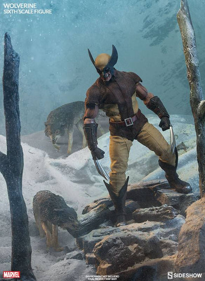 SIDESHOW - Marvel Comics Action Figure 1/6 Wolverine