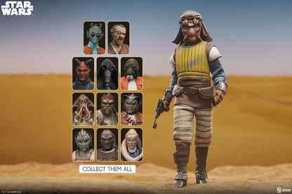 SIDESHOW - Star Wars Action Figure 1/6 Vizam