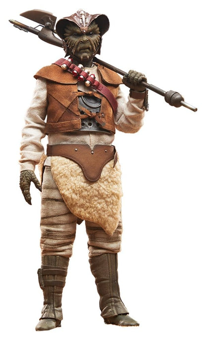 SIDESHOW - Return of the Jedi Action Figure 1/6 Wooof
