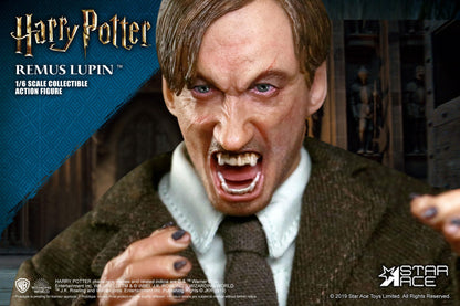 STAR ACE - Harry Potter My Favourite Movie Action Doll 1:6 Remus Lupin DeLuxe Ver