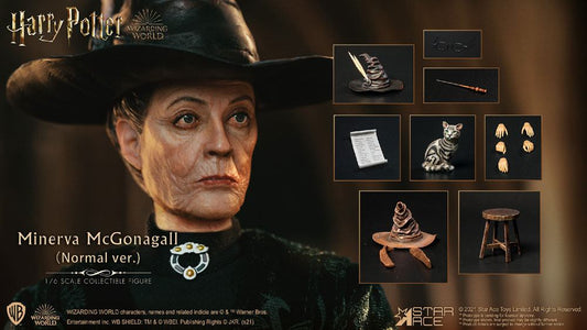STAR ACE - Harry Potter My Favourite Movie Action Doll 1:6 Minerva McGonagall Normal Ver