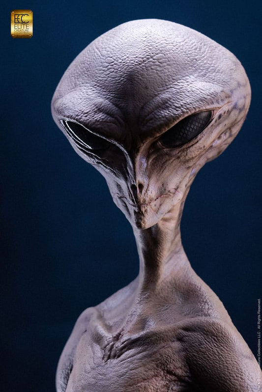 TOYNAMI - ELITE CREATURE COLLECTIBLE - Statue Reptilian Grey Maquette by Steve Wang