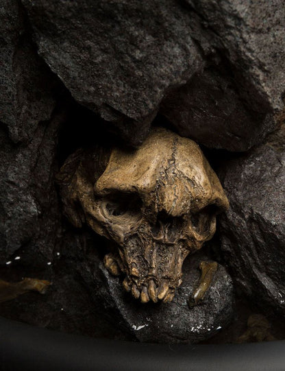 WETA COLLECTIBLES - The Lord of the Rings - Master Collection Gollum Statue 1:3