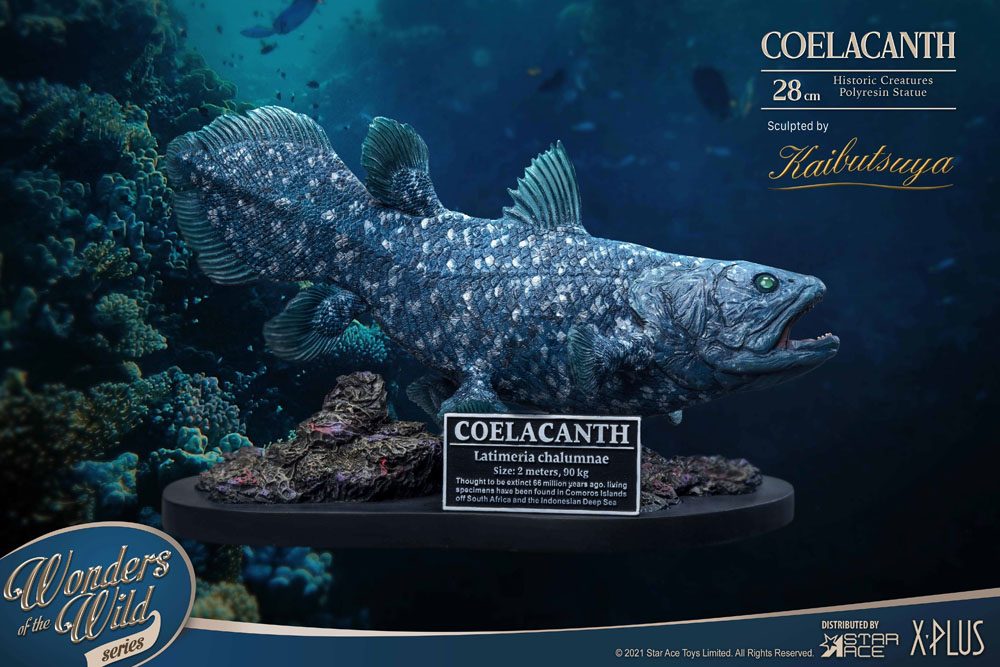 STAR ACE - Wonders of the Wild Statue Coelacanth Deluxe Version