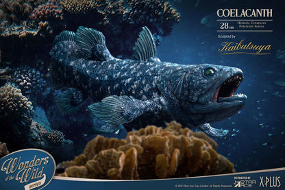 STAR ACE - Wonders of the Wild Statue Coelacanth Deluxe Version